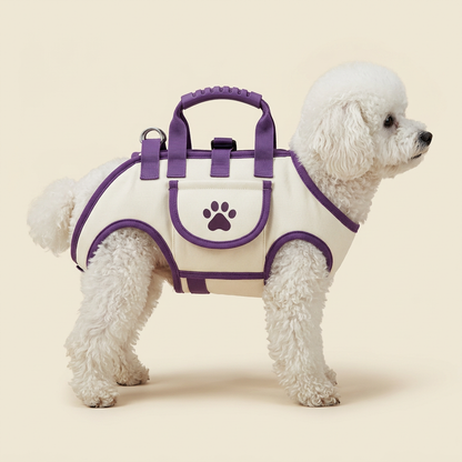 Şkilos Pet Carrier – Mor