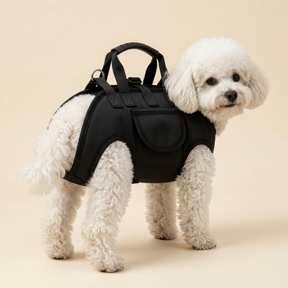 Alseriy Pet Carrier – Siyah