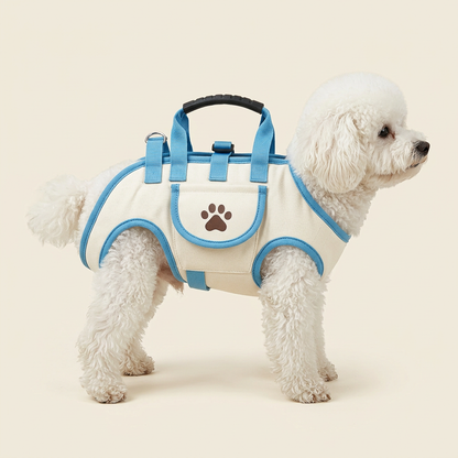 Alseriy Pet Carrier – Mavi